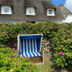 Blauer Strandkorb steht vor einem Haus mit Strohdach und rosa Rosenhecke.