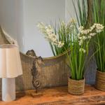 Holztisch mit Lampe, Pflanzen und Seepferdchenfigur vor Spiegel