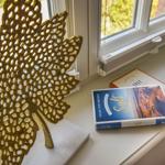 Gelber Blatt-Objekt und Bücher auf Fensterbank mit Blick nach draußen.