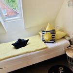 Schlafzimmer mit Nautik-Dekoration und Dachfenster. Bett mit Kissen und Schiffstuch.