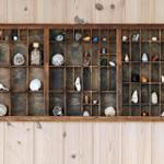 Wooden rack with compartments filled with stones, skulls, and small objects on a wooden wall.