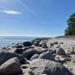 Strand mit Steinen und Bäumen am Ufer unter blauem Himmel.