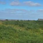 Grünes Grasflächen mit Blick auf Strandparken und Himmel