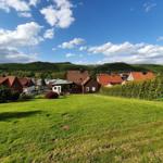 Grünflächen mit Häusern und Wald im Hintergrund unter blauem Himmel mit weißen Wolken.