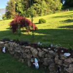 Garten mit Steinmauer, rotem Laubbaum und Gartengnome. Grasfläche und Bäume im Hintergrund.