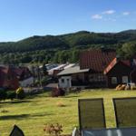 Grüner Garten mit Blick auf Häuser und bewaldete Berge unter blauem Himmel.