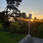 Sonnenuntergang hinter Bäumen mit Grünfläche und Pfad im Vordergrund.