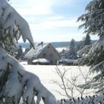 Blick aus dem Garten im Winter