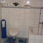 Badezimmer mit Toilette, Badewanne und blauem Teppich