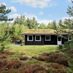 Schwarze Holzhütte mit grünem Dach, umgeben von Bäumen und Gras.