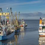 Hafen mit mehreren Fischkäufen und Booten im Wasser.