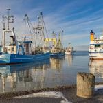 Hafen mit mehreren Fischereischiffen und einem Fährschiff, Spiegelung im Wasser.