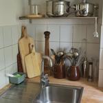 Küchenbereich mit Edelstahlspüle, Holzoberfläche und Metallregalen mit Kochgeschirr.