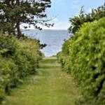 Path through green hedges to the sea