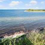 Sea with rocks and grass along the shore under blue sky