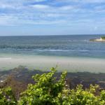 Sea with sandy beach and green vegetation in foreground under blue sky.