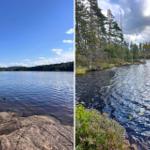 Lakeside with rocky shore and forested hill. Water surface with lily pads and tall pine trees.