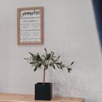 Wand mit gerahmtem Schild und Pflanze in schwarzem Topf auf Holzregal.