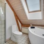 Badezimmer mit Dusche, Toilette und Whirlpoolbad unter Holzdecke mit Dachfenster.