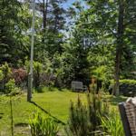 Grüner Garten mit Bank, Bäumen und Rasenfläche unter blauem Himmel.