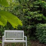 Eine weiße Bank steht im Garten unter Bäumen und Sträuchern.
