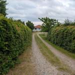 A path through hedges leads to a white house with a red roof.