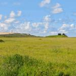 Wide grassland under blue sky with lighthouse and house in background.