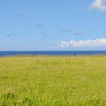 Wide grassland leads to the blue sea under a clear sky with white clouds.