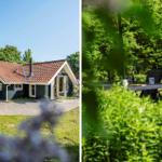 House with terrace and garden. Outdoor table with chairs and view into the green surroundings.