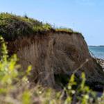 Steep coastal cliff with greenery and view of the sea.
