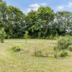 Grüner Garten mit Bäumen und Blumenbeeten unter blauem Himmel.