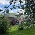 Haus mit rotem Dach, umgeben von blühenden Bäumen und grünen Hügeln.