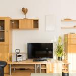 Wohnzimmer mit Holzmöbeln, Fernseher und Pflanze