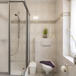 Badezimmer mit Dusche, Toilette und Pflanzen an Fensterbank.