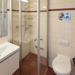 Duschkabine mit Duschbrause, Toilette und Waschbecken mit Spiegel.