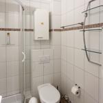 Badezimmer mit Dusche, WC und Glasregal an der Wand.