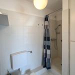 Bathroom with shower, toilet, and round ceiling light.