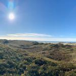 Insel Amrum - Natur pur