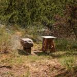 Zwei Sitzgelegenheiten im Wald: Steinbank und Baumstumpf mit Tischplatte.