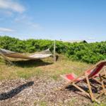 Hammock und zwei Liegestühle im Garten mit grüner Vegetation und blauem Himmel.