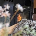 Ein Kaminofen mit brennendem Feuer, vorne sind Blumen und ein Fellkissen sichtbar.