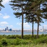 View through trees to the city and water