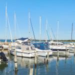 Marina with several sailboats and motorboats in clear water under blue sky.