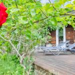 Red rose bush in front of wooden terrace with sun loungers and garden