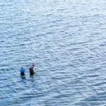 Two people stand in water and fish with fishing rods.