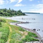Beach with pier and trail along the shore