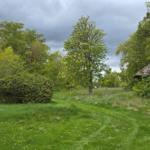 Green field with trees and a small wooden house in the background.