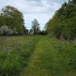 Green path through meadows and trees to the vacation rental