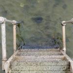 Steinstufen mit Geländer führen ins Wasser.