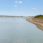 Strandabschnitt mit klarem Wasser und grasbewachsenem Ufer